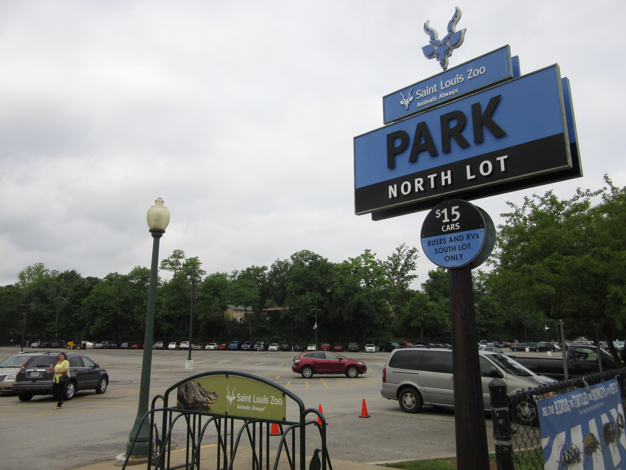 Parking: Saint Louis Zoo North Lot (Pay) | Forest Park Forever