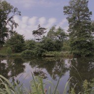 Murphy Lake in Forest Park