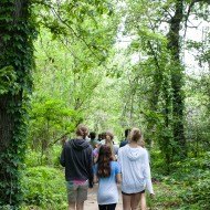 Kennedy Forest in Forest Park