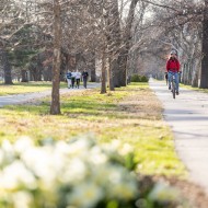 Cyclists, skaters and walkers on the Dual Recreation Path