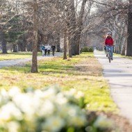 Cyclists, skaters and walkers on the Dual Recreation Path