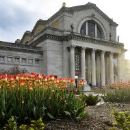 Saint Louis Art Museum