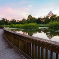 Boardwalk