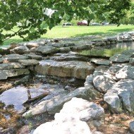 Seven Pools in Forest Park