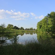 Bowl Lake in Forest Park