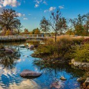 explore forest park