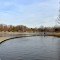 A flat, curving boardwalk cuts into Jefferson Oak