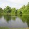 Fish Hatcheries in Forest Park