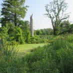 Deer Lake Savanna in Forest Park