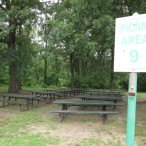 Picnic Ground 8