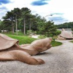 Turtle Playground in Forest Park