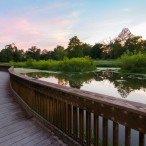 Boardwalk